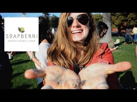 Soapberri gallery image