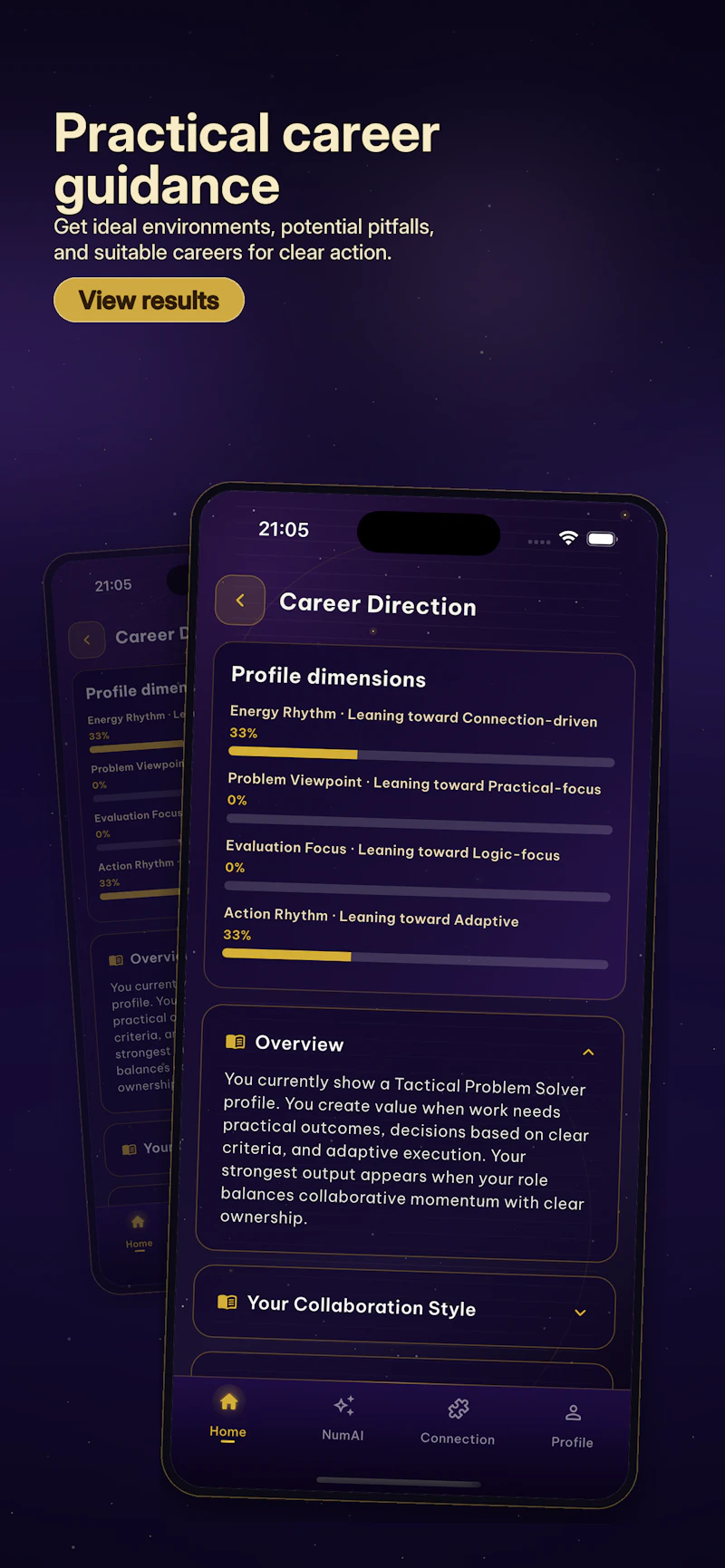 NumVerse AI screenshot 1