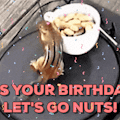 Slack Birthday Bot