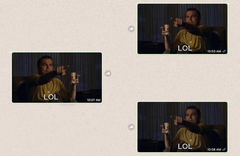 RICKPLY gallery image