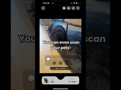 BeWizor  gallery image