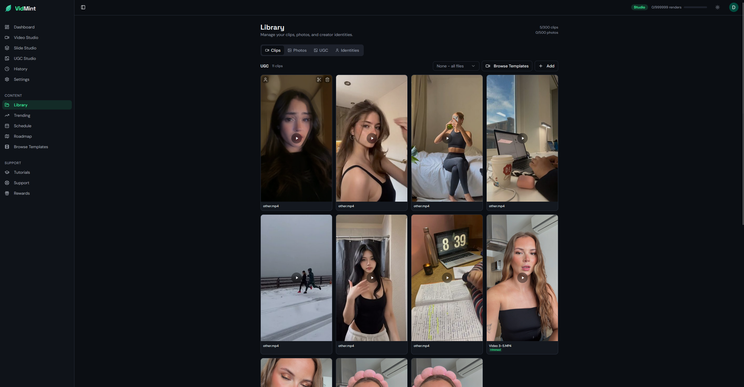 VidMint gallery image