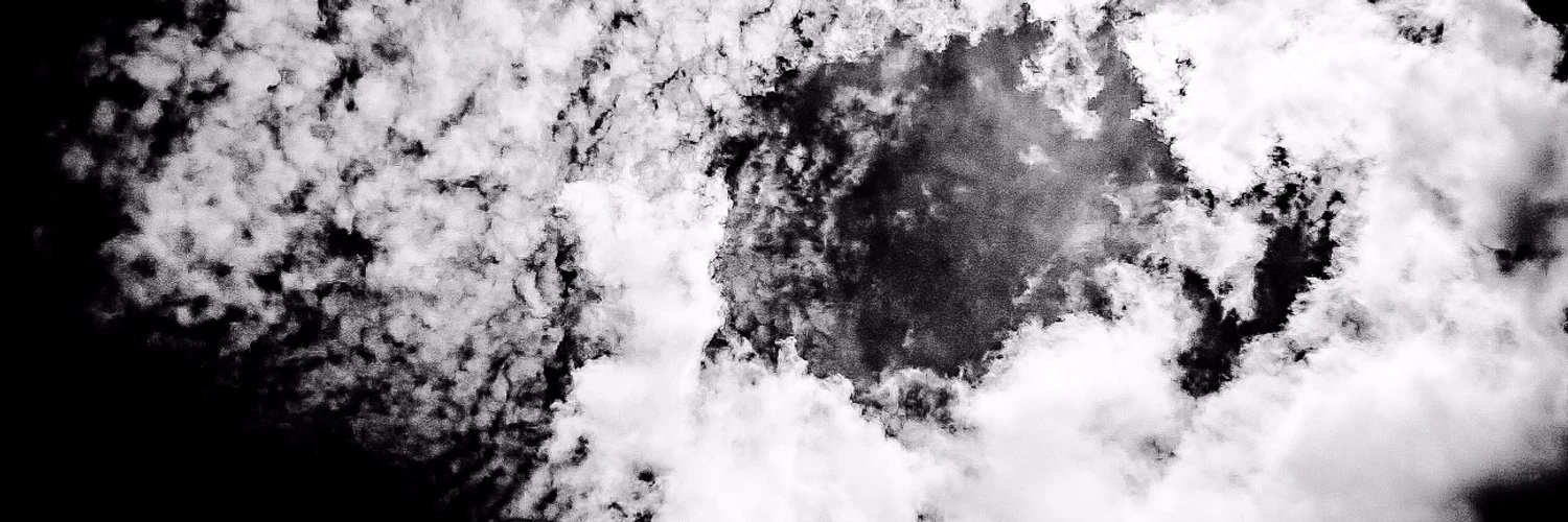 Nguyễn Hữu Đại Lộc cover