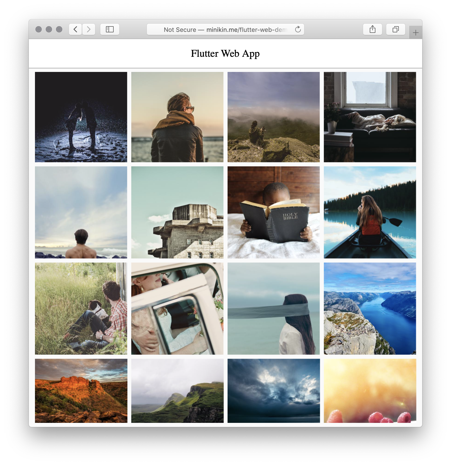 Web application with Flutter and Dart gallery image