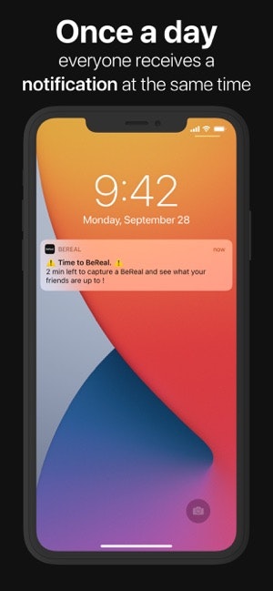 Bereale media 3