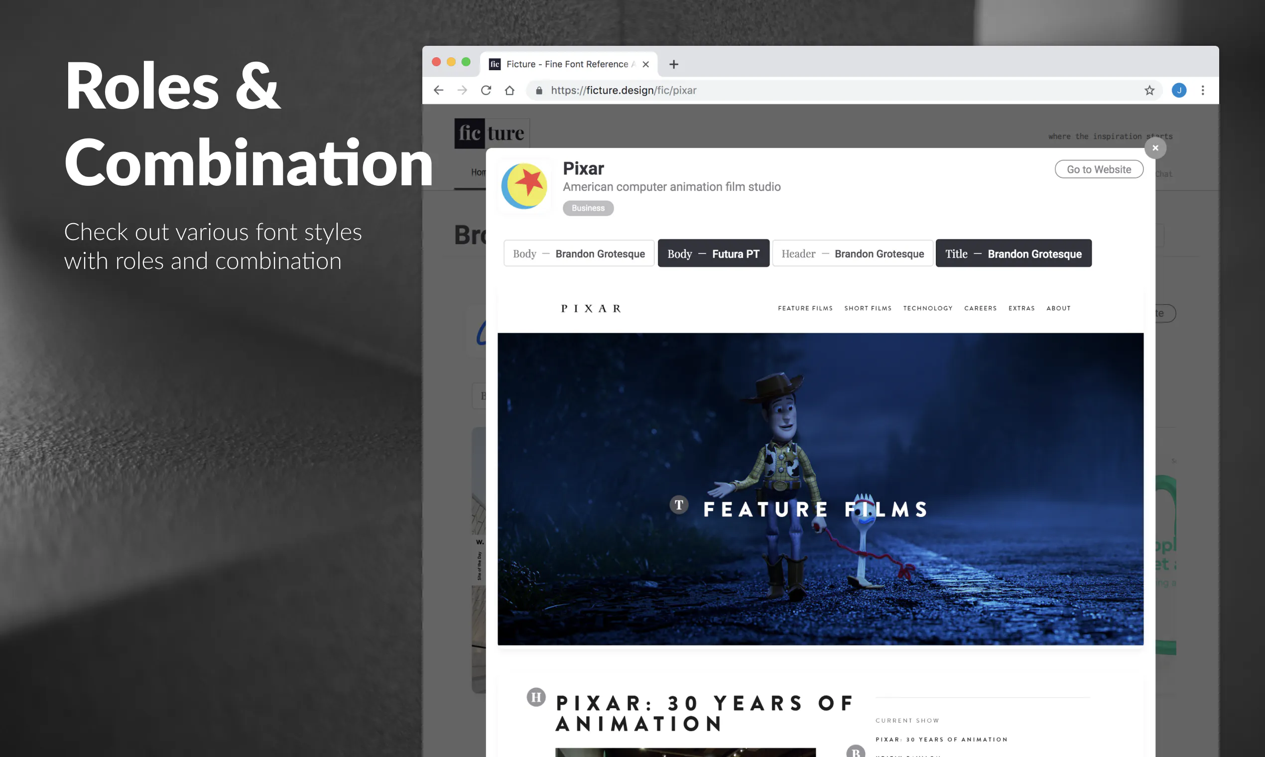 FictureDesign Image