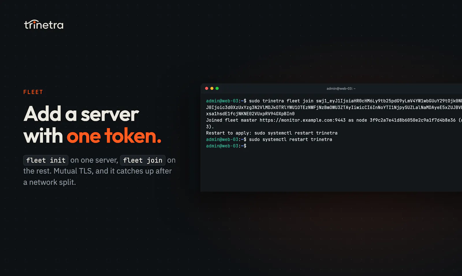 Trinetra screenshot 7