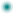Capsule