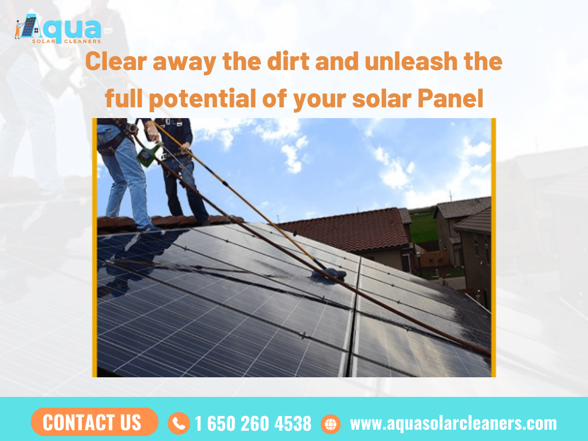 Importance of Softwashing your roof media 2