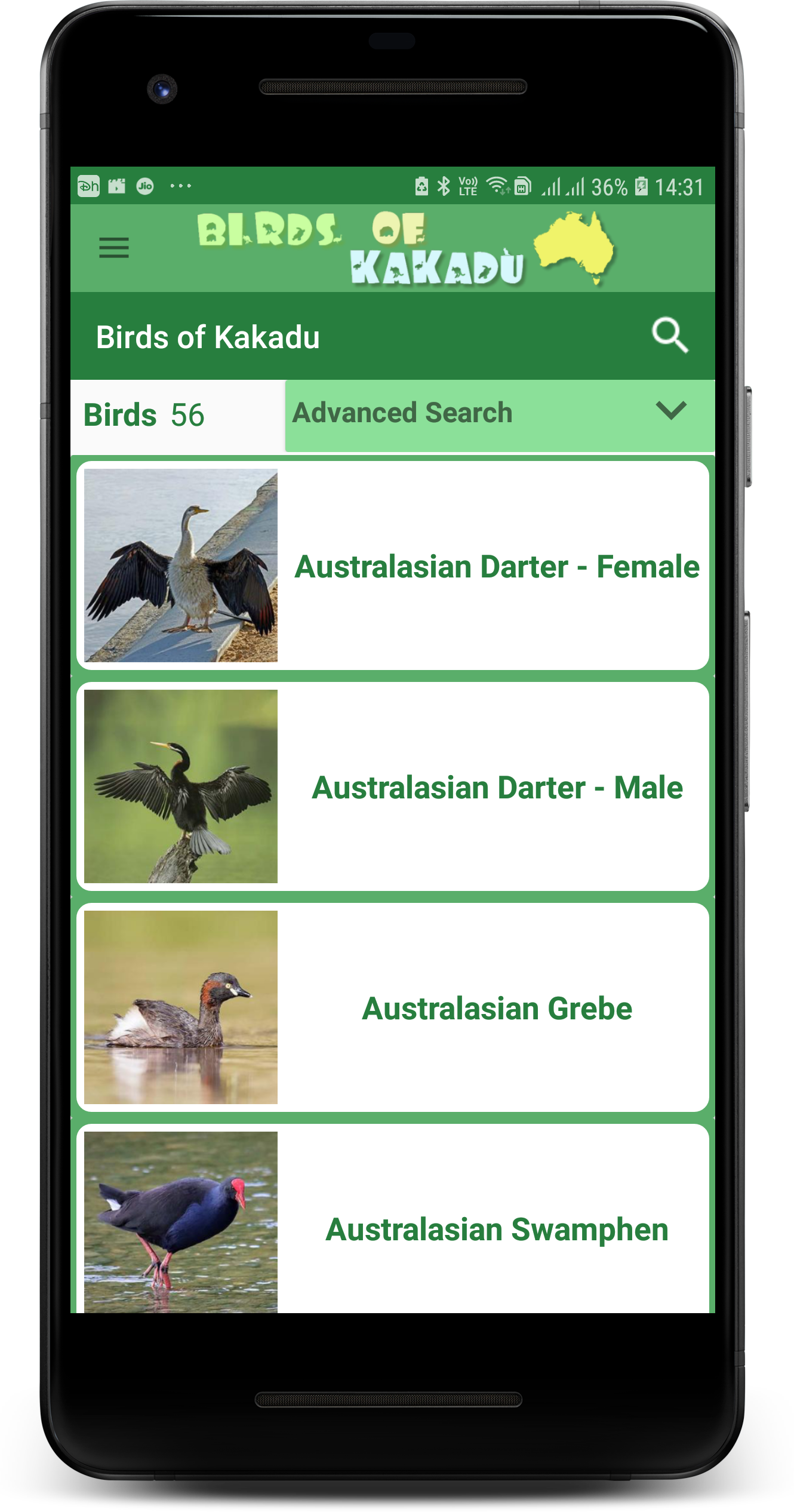 Birds of Kakadu Australia Northern Side gallery image