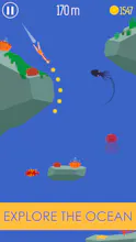 Dive gallery image