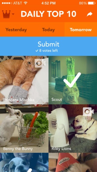 Klooff gallery image