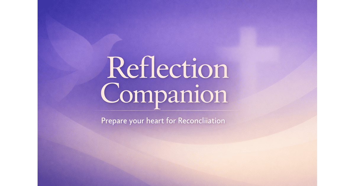 Reflection Companion gallery image