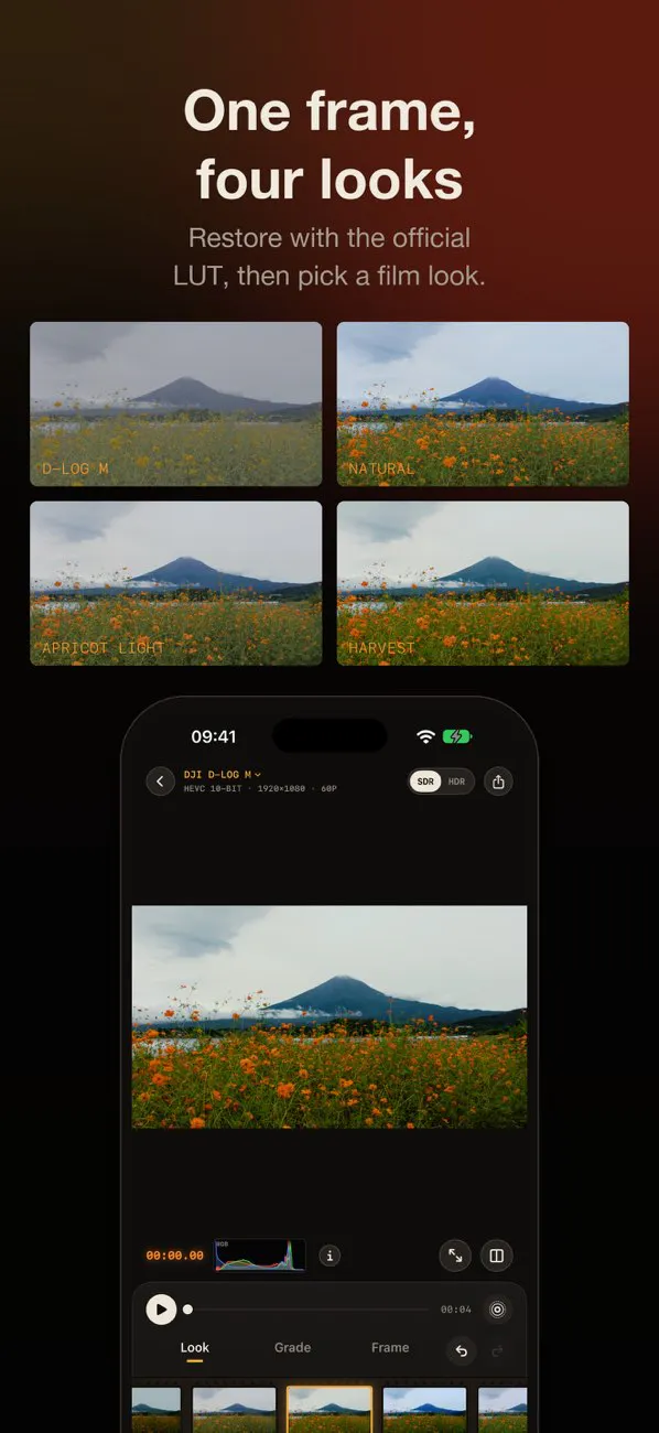 Develop Log: Color Grading gallery image