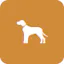 Pets and Animals Listing