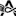 Insight Oracle V2.1