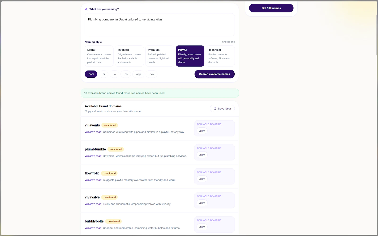 BrandNameWizard screenshot 2