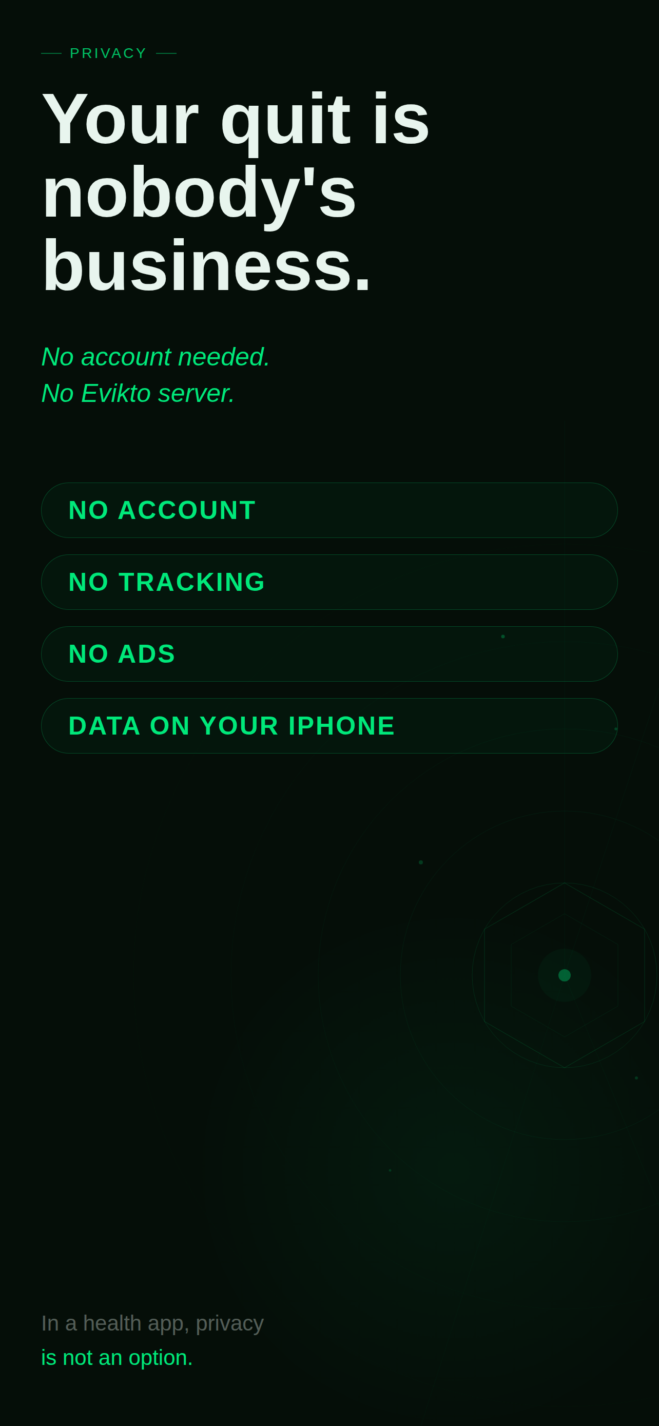 Evikto gallery image