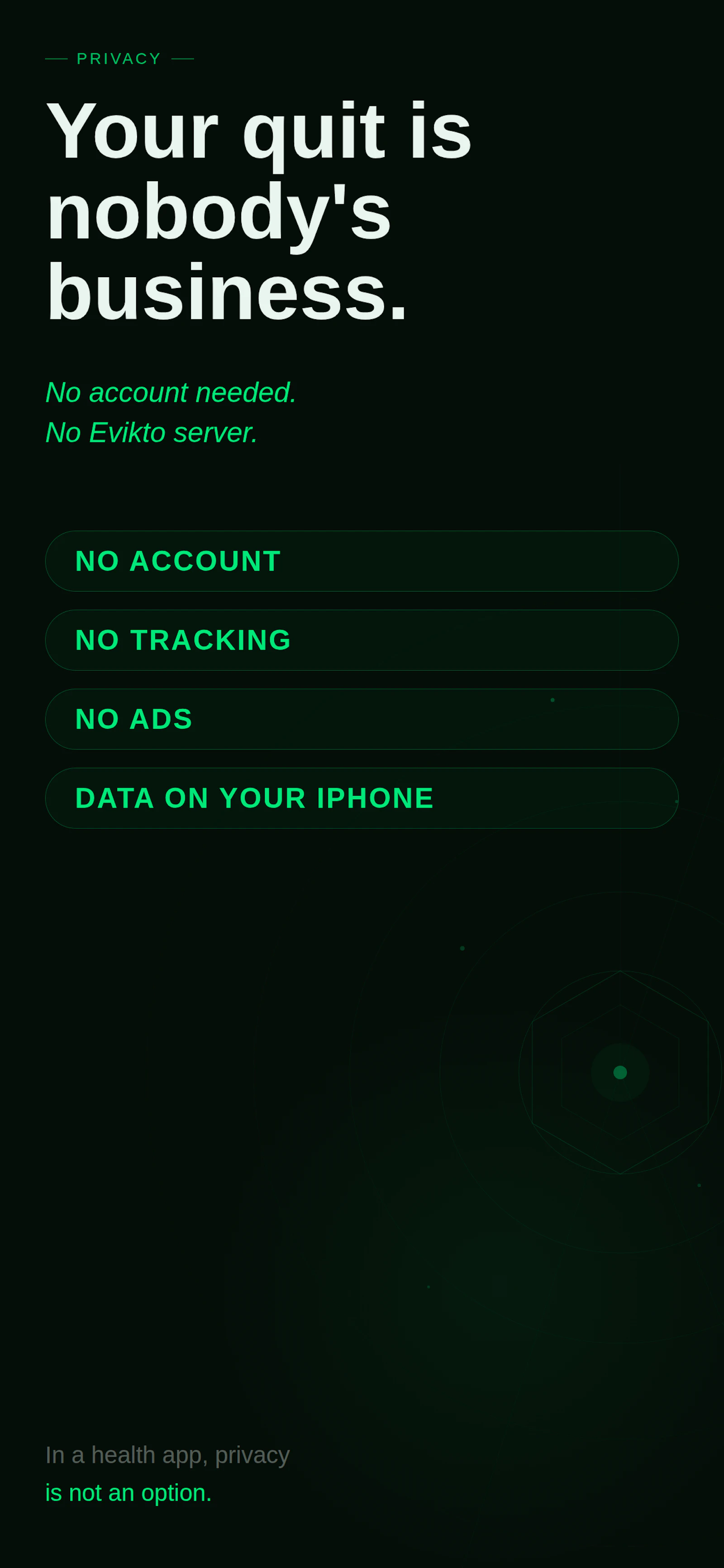 Evikto screenshot 4