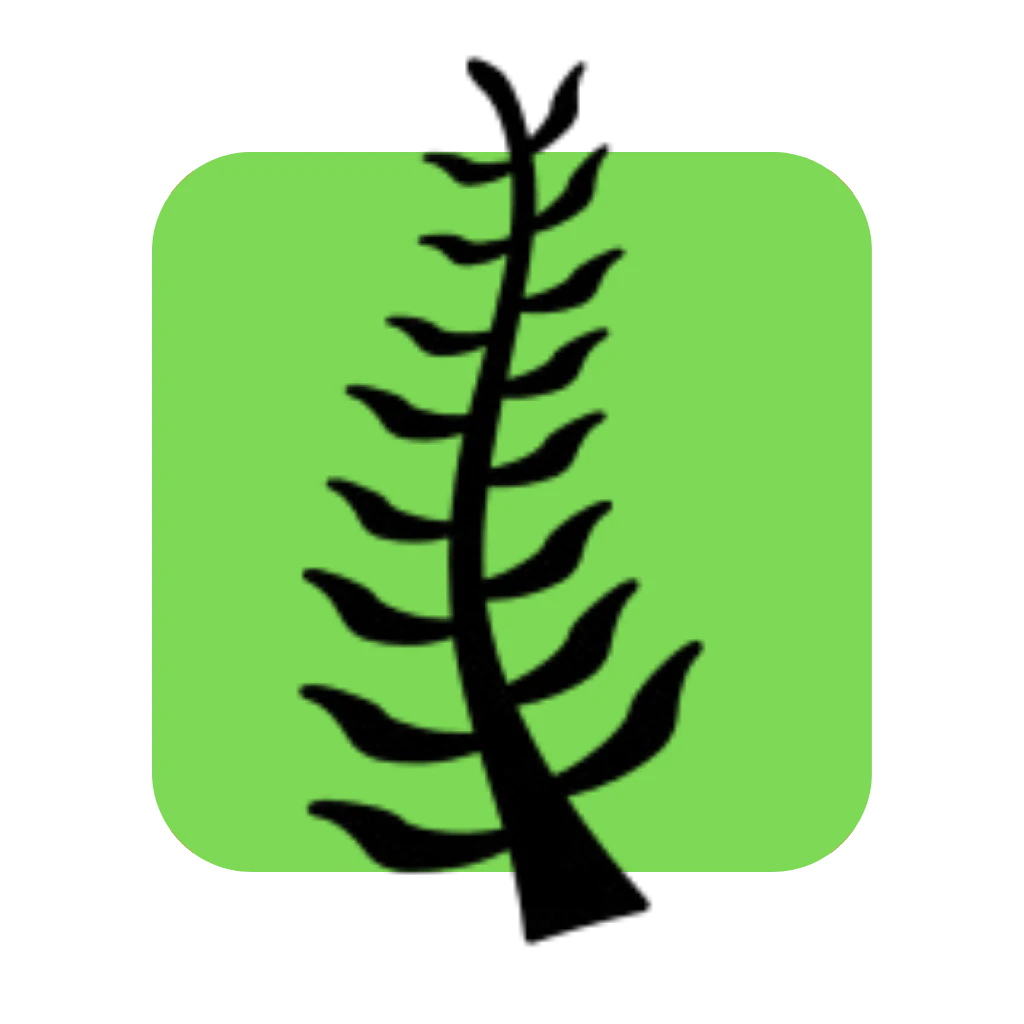 Quaynor logo