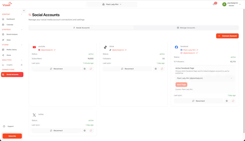 Vizeel AI screenshot 2