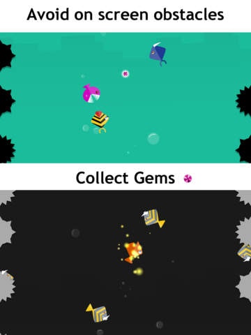 Crazy Fish gallery image