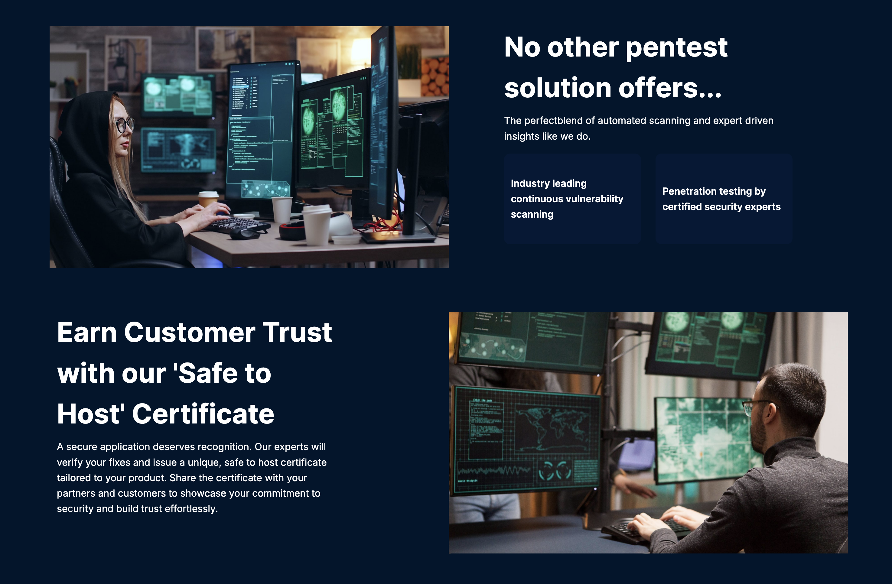 Tulsi Pentest gallery image