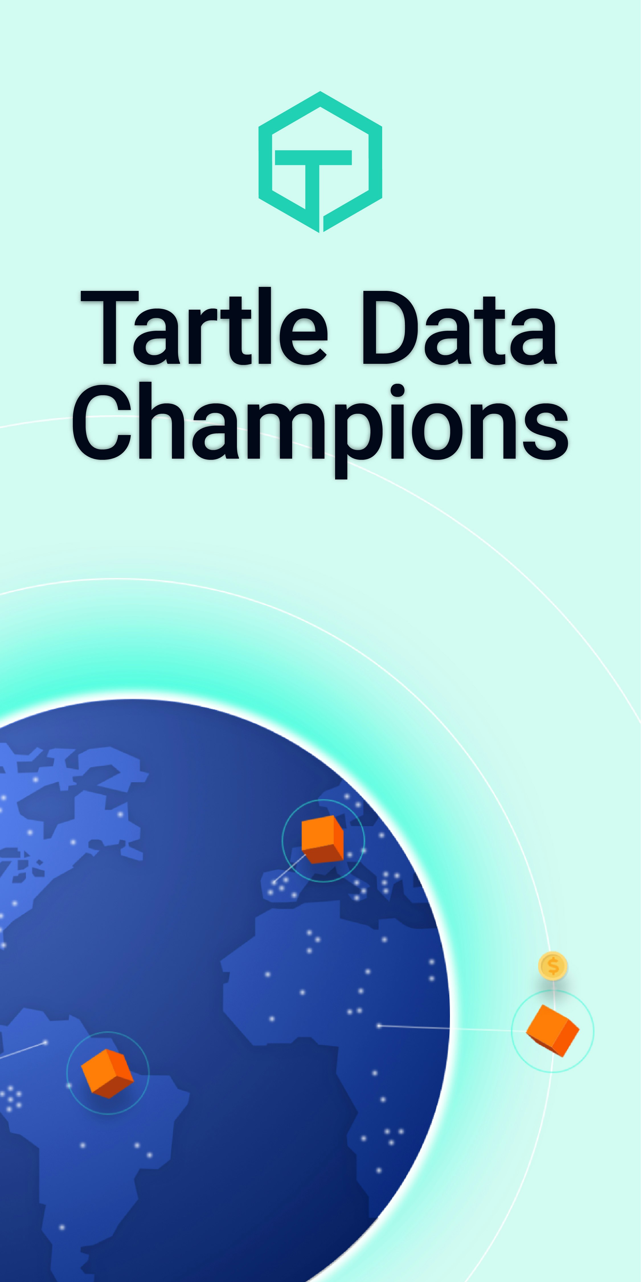 TARTLE gallery image