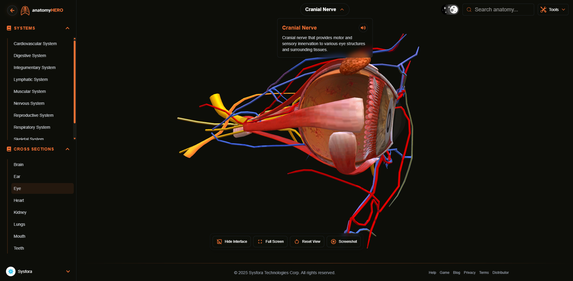 anatomyHERO gallery image