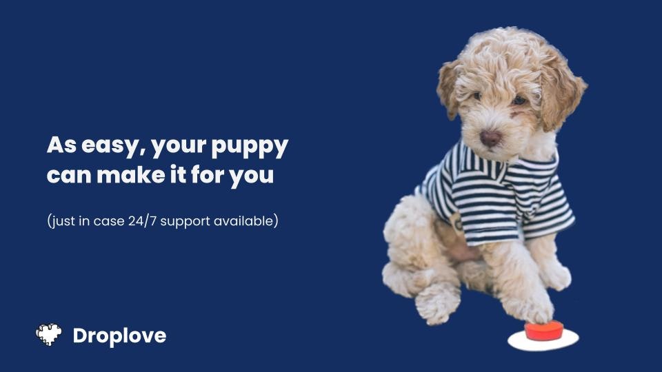 Droplove 2.0 - Отправьте рождественские поздравления как NFTS.Без кода в 3 щелчках. медиа 6