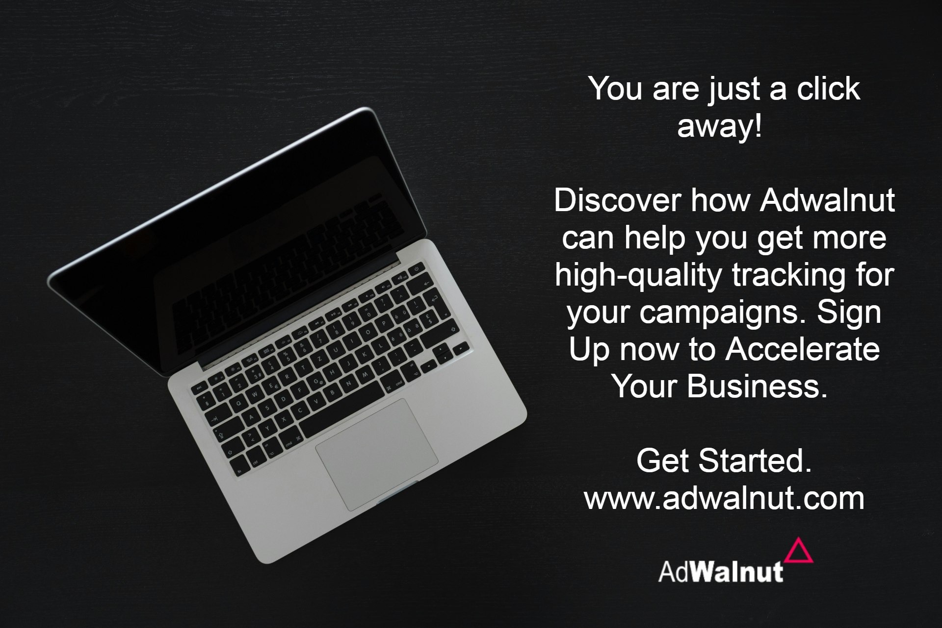 Adwalnut gallery image