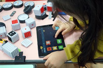 MAUNZI gallery image