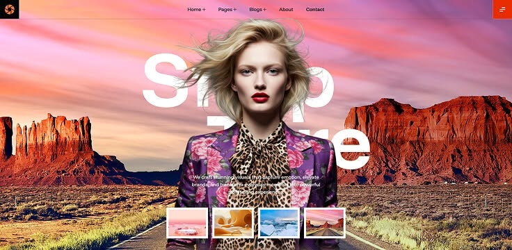 Photography WordPress Website Theme gallery image