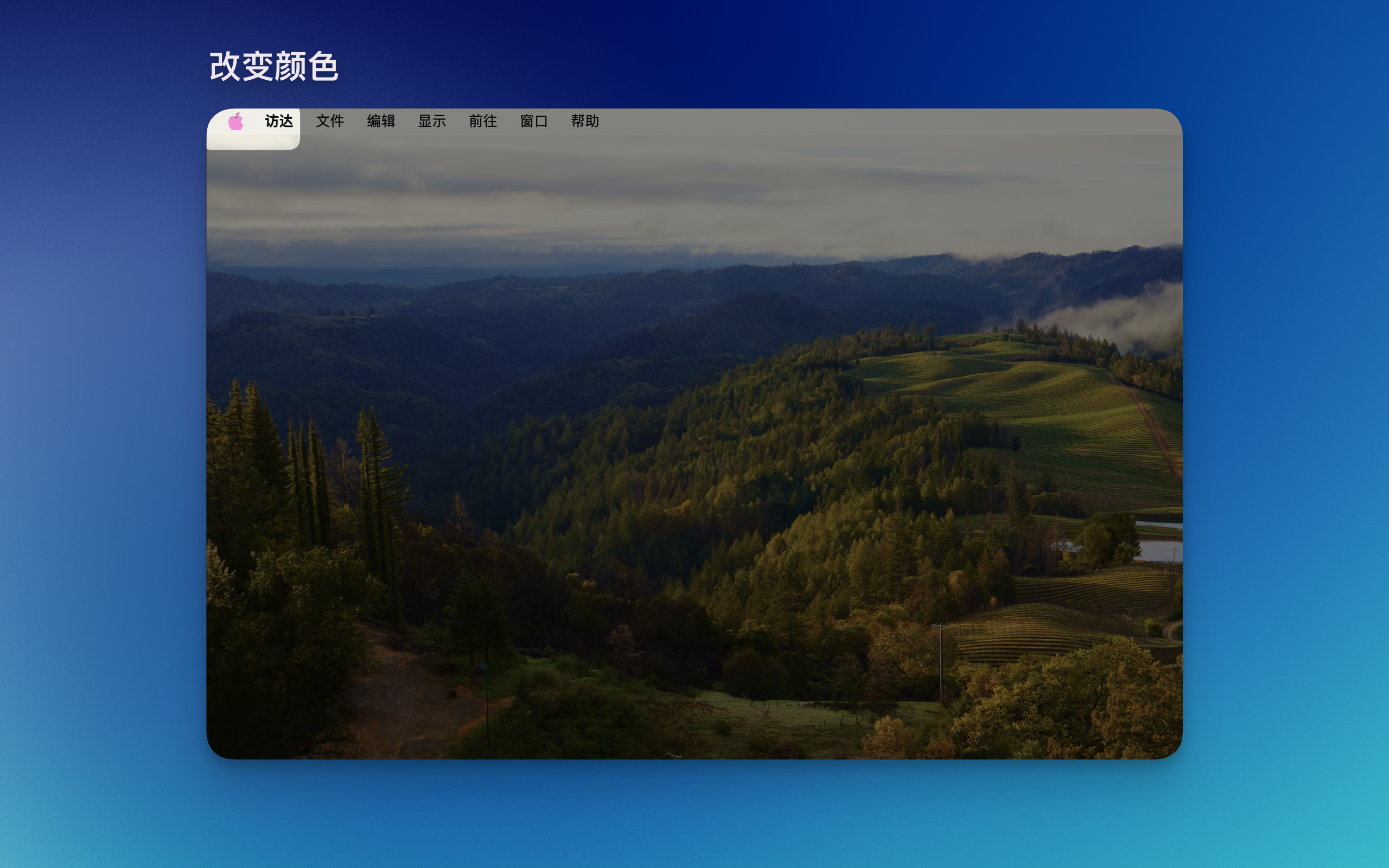 vInfinity gallery image