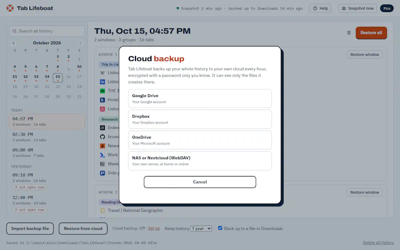 Tab Lifeboat screenshot 6
