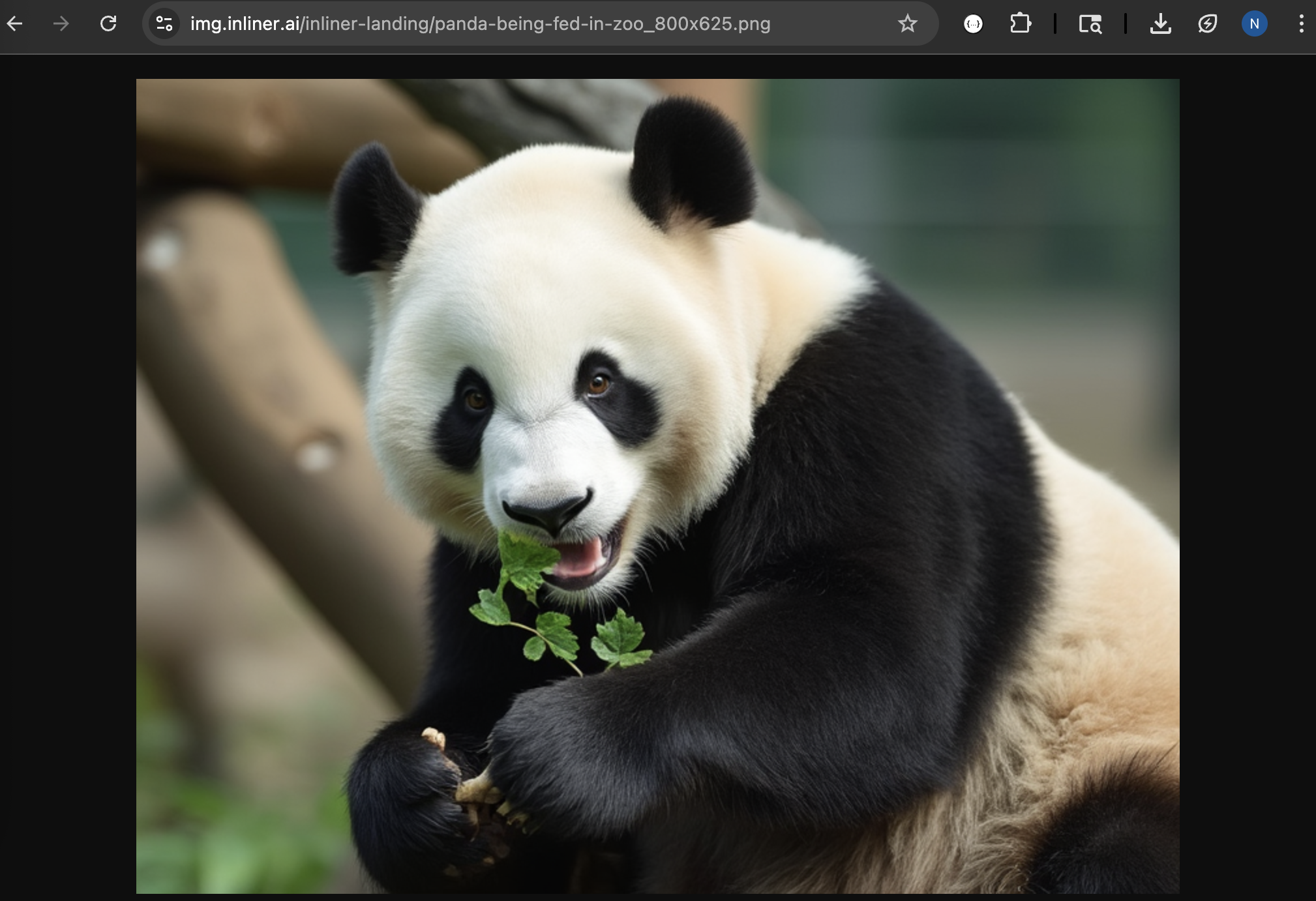 Inliner AI media 7
