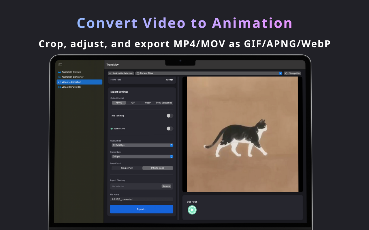 TransMov - Screenshot 5 showing product features and functionality