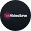 TikTok Downloader
