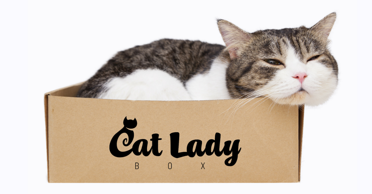 Cat Lady Box gallery image