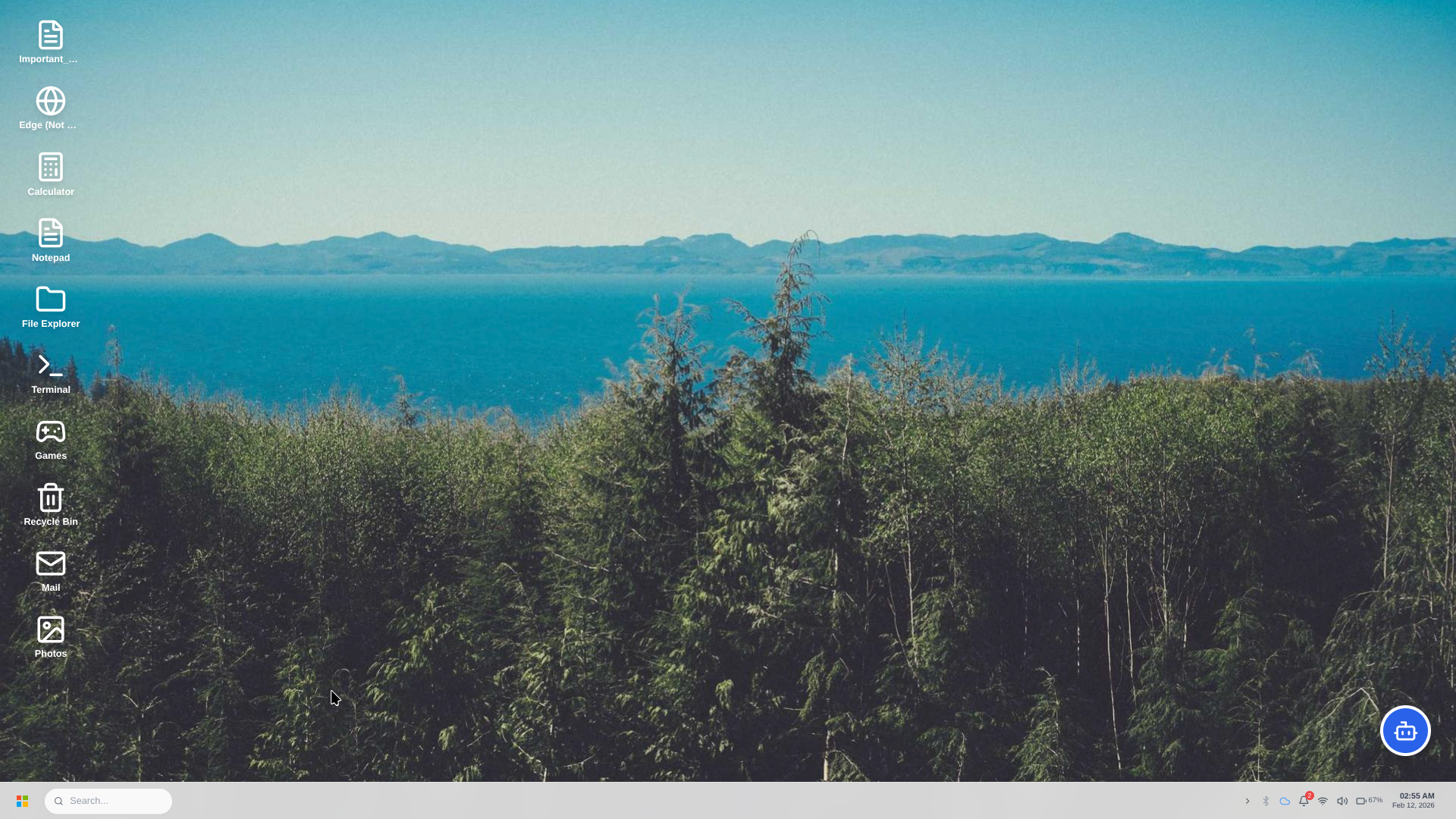 WinFliction OS gallery image