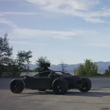Blackbird