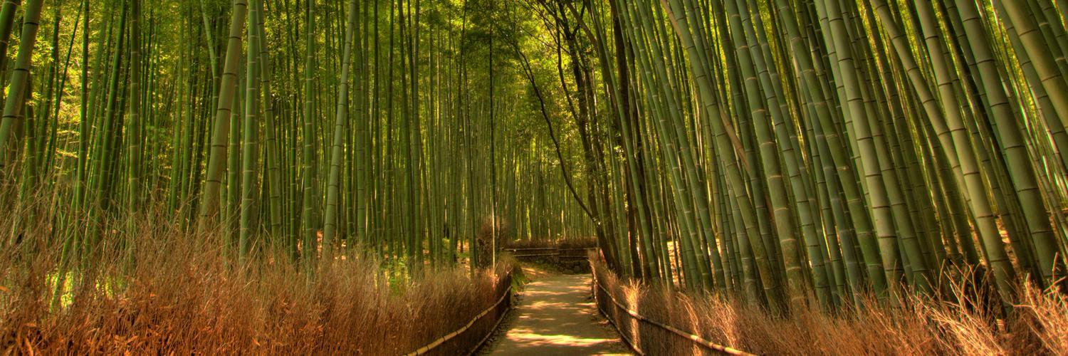 Dylan Marriott cover