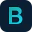BRIP logo