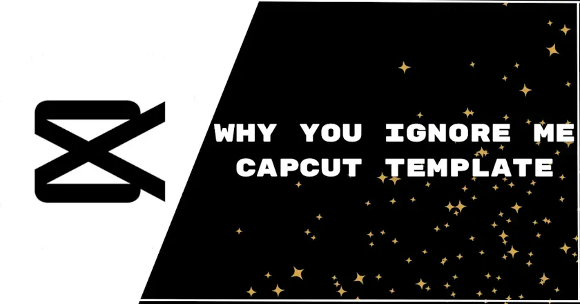 Capcut Pro Mod apk gallery image