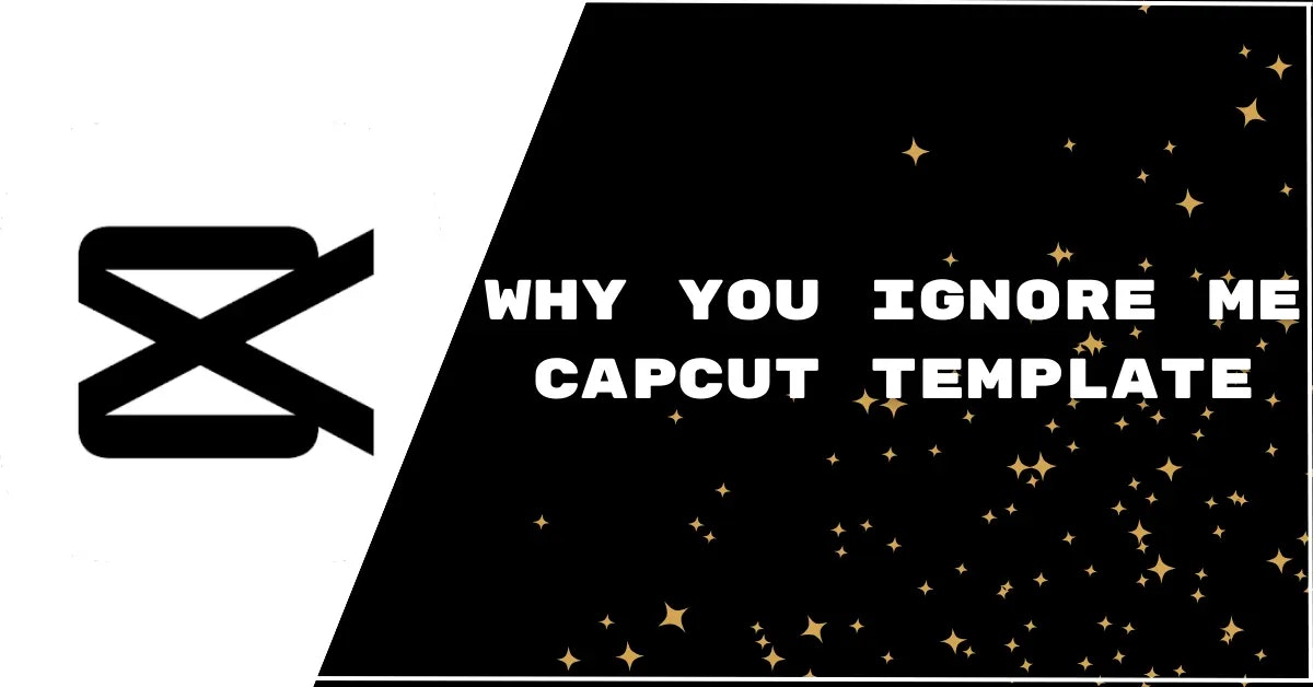 وسائط capcut pro mod apk - قم بتحرير مقاطع الفيديو الخاصة بك مثل المحترف 2