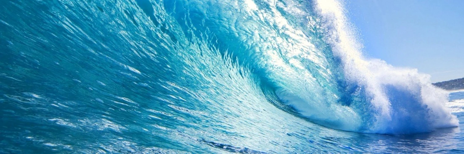 Adam Kolczynski cover