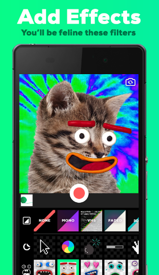 Giphy Camera Android gallery image