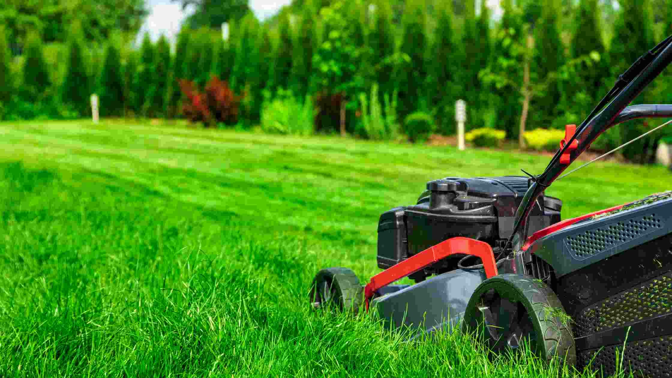 Lawn Care Name Generator media 3