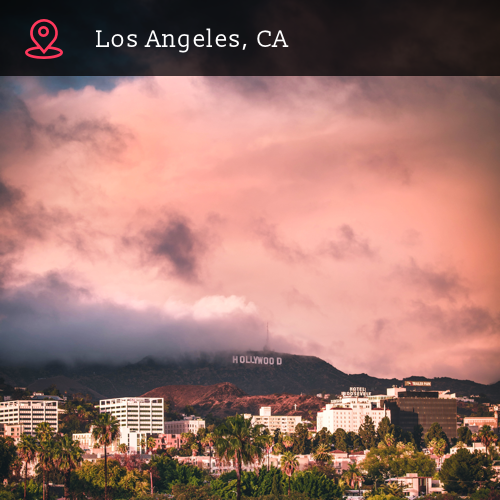 Phocale gallery image