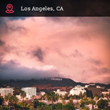 Phocale gallery image